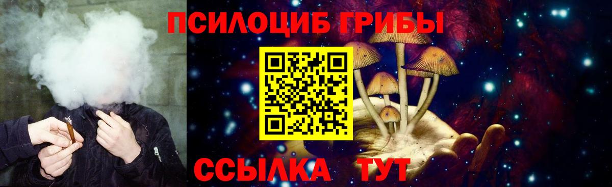 Сокол  купить   Вход с VPN  Псилоцибиновые грибы мухоморы 